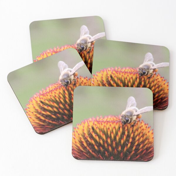 Item preview, Bee on Coneflower designed and sold by RickShag.
