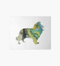 Border Collie Art Board