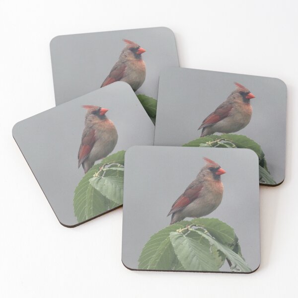 Item preview, Foggy Ms. Cardinal designed and sold by RickShag.