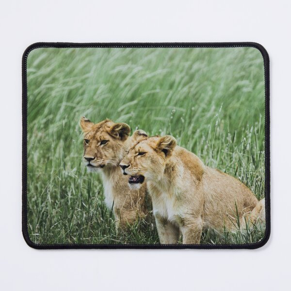 Item preview, Lions in the Serengeti designed and sold by lukegram.
