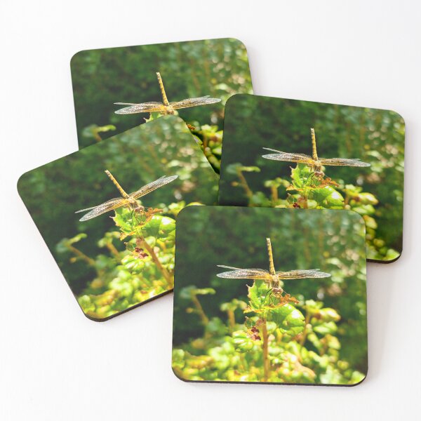 Item preview, Dragonfly at the park designed and sold by spotluck.