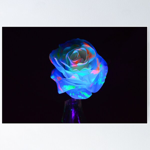 Item preview, UV Flower designed and sold by artyanna22.