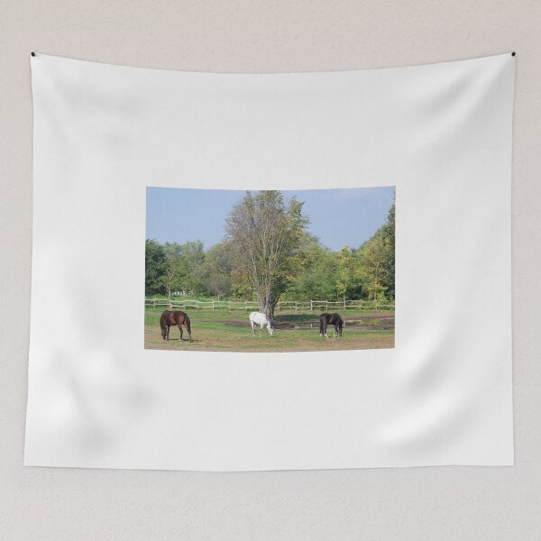 Item preview, brown white and black horse  designed and sold by goceris.