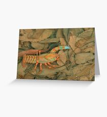 Crazy crayfish Greeting Card