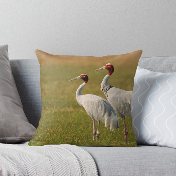 Aperçu de l'œuvre Pair of Sarus Cranes créée et vendue par NickAvin.