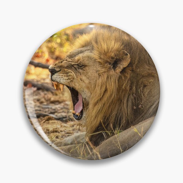 Item preview, A Yawning Lion designed and sold by Kay Brewer.