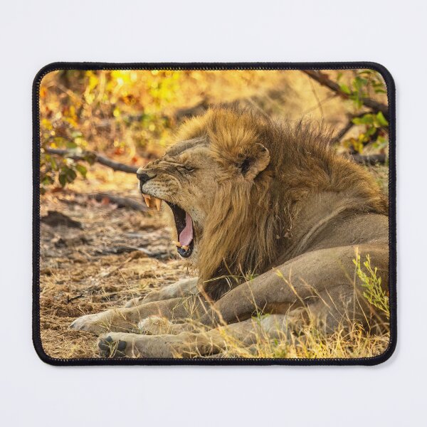 Item preview, A Yawning Lion designed and sold by Kay Brewer.