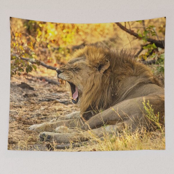 Item preview, A Yawning Lion designed and sold by Kay Brewer.