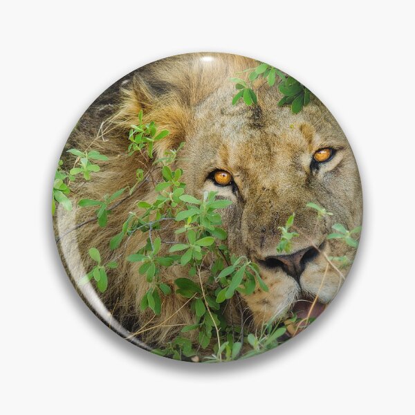 Item preview, This Lion Is Watching You designed and sold by Kay Brewer.