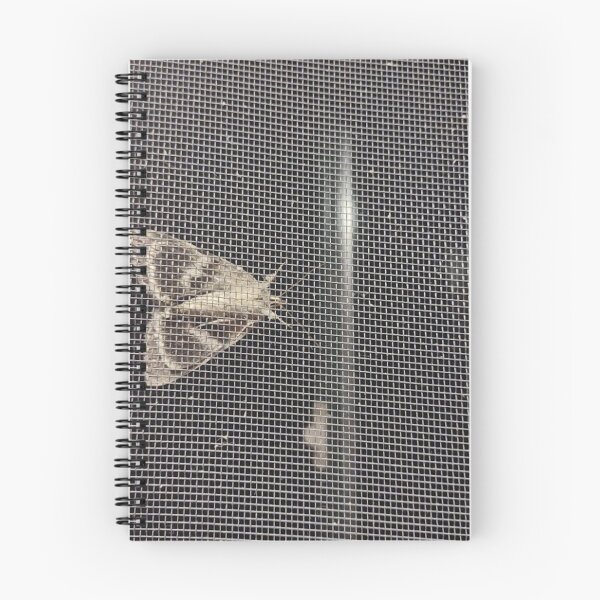 Item preview, catocala relicta moth on a window screen designed and sold by Crafty Fox & Art Panda ♥️.