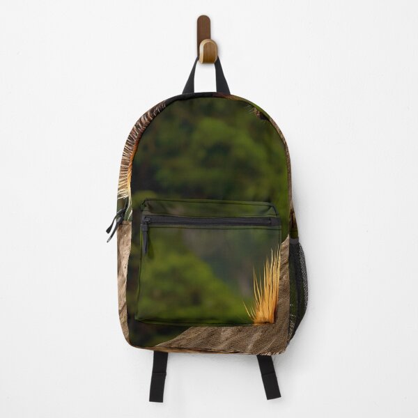 Item preview, Palawan Porcupine designed and sold by DigitizedArt.