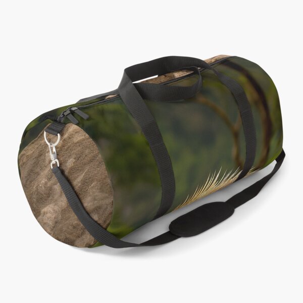 Item preview, Palawan Porcupine designed and sold by DigitizedArt.