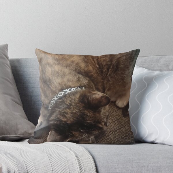 Item preview, Torbie cat napping on a comfortable chair designed and sold by Crafty Fox & Art Panda ♥️.