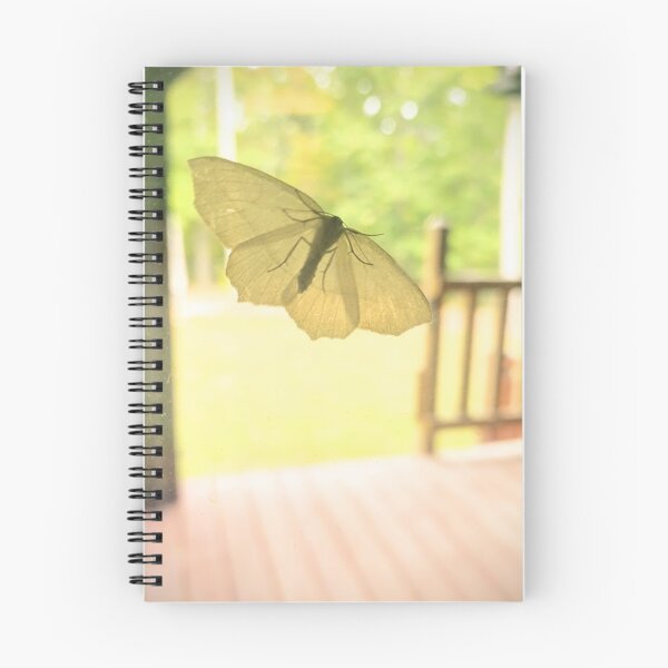 Item preview, catocala relicta moth flying near a porch designed and sold by Crafty Fox & Art Panda ♥️.