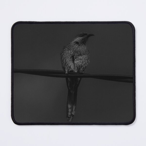 Item preview, Australian Wattlebird designed and sold by Kellie Smith.
