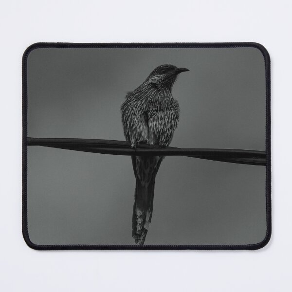 Item preview, Australian Wattlebird designed and sold by Kellie Smith.