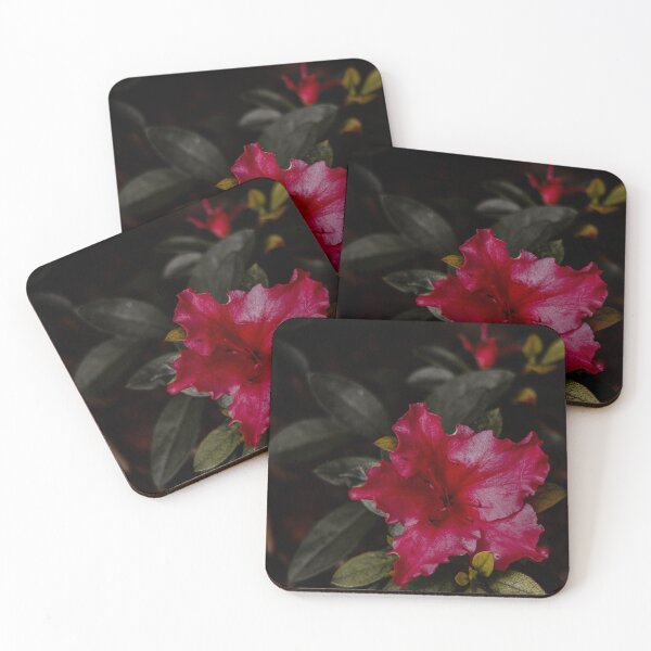 Item preview, Copy of Australian Wattlebird designed and sold by Kellie Smith.