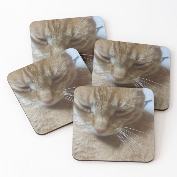 Item preview, Orange tabby cat tearing up at your attitude   designed and sold by Crafty Fox & Art Panda ♥️.