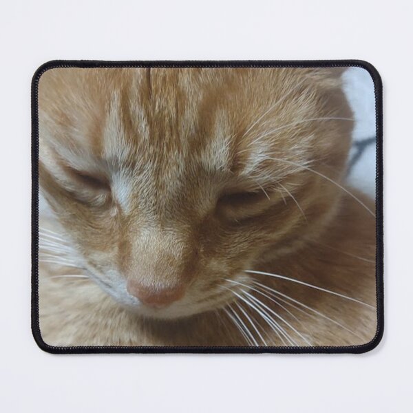 Item preview, Orange tabby cat tearing up at your attitude   designed and sold by Crafty Fox & Art Panda ♥️.