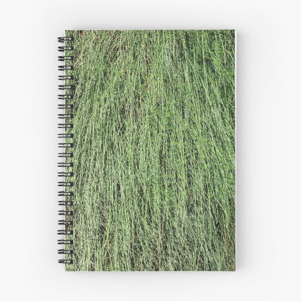 Item preview, a pile of long pine needles designed and sold by farmer248.