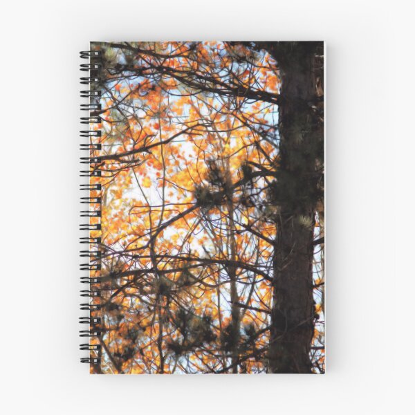 Item preview, Autumn Among the Pines designed and sold by kristimb.