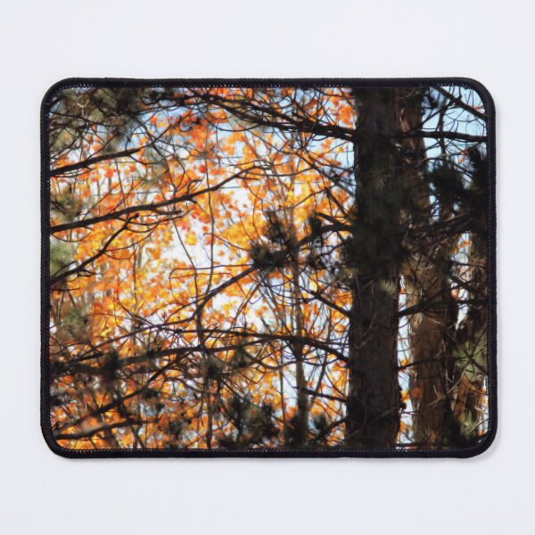 Item preview, Autumn Among the Pines designed and sold by kristimb.