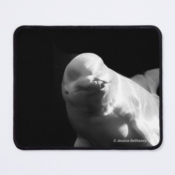 Item preview, Beluga Whale  designed and sold by Jessica Bethoney.