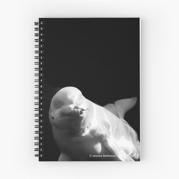 Item preview, Beluga Whale  designed and sold by Jessica Bethoney.