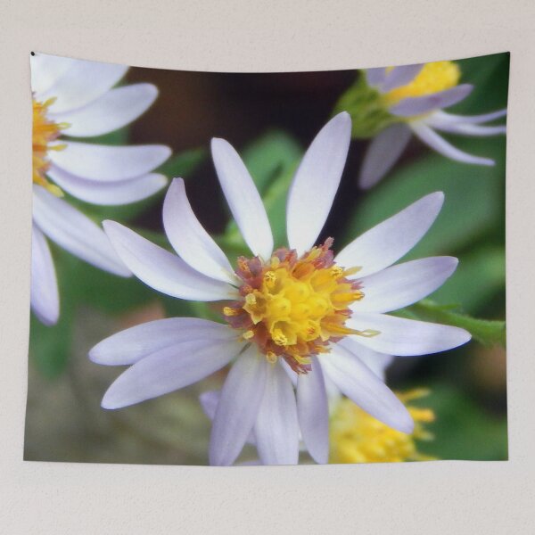 Item preview, Wavyleafed Aster along Blue Ridge Parkway designed and sold by gistinker.