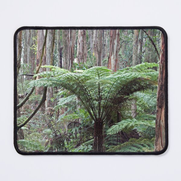 Item preview, Australian Tree fern  designed and sold by CazEve.