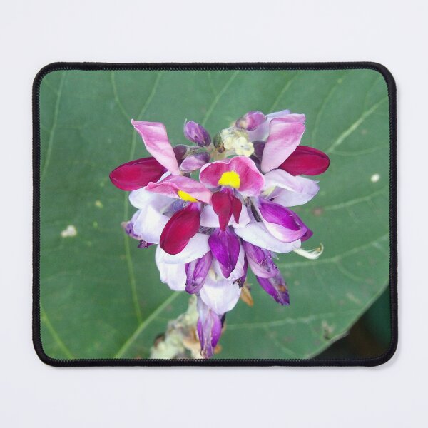 Item preview, Flowering Kudzu designed and sold by gistinker.