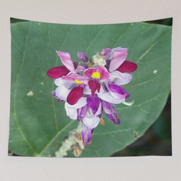 Item preview, Flowering Kudzu designed and sold by gistinker.