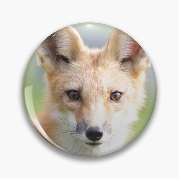 Artikelvorschau, Red Fox Staredown entworfen und verkauft von LoriLWegner.