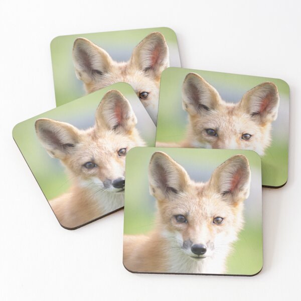 Item preview, Red Fox Staredown designed and sold by LoriLWegner.