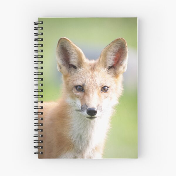 Item preview, Red Fox Staredown designed and sold by LoriLWegner.