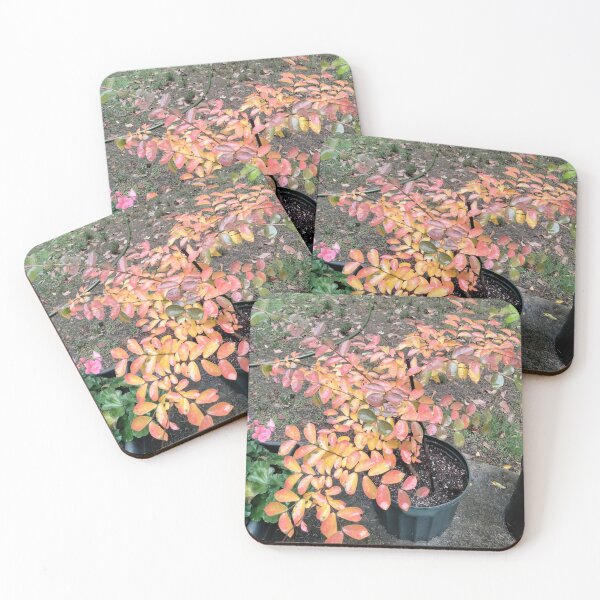 Item preview, Baby Crepe Myrtle Getting Ready for Winter designed and sold by Pat Yager.