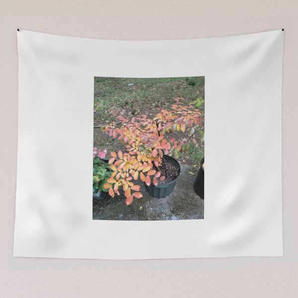 Item preview, Baby Crepe Myrtle Getting Ready for Winter designed and sold by Pat Yager.