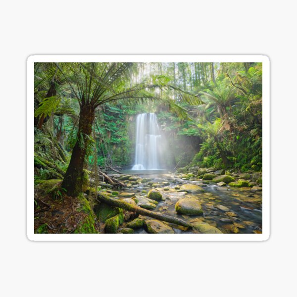 Item preview, Beauchamp Falls, Otway National Park, Victoria, Australia designed and sold by Michael Boniwell.