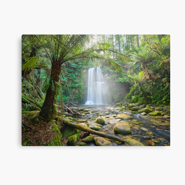 Item preview, Beauchamp Falls, Otway National Park, Victoria, Australia designed and sold by Michael Boniwell.