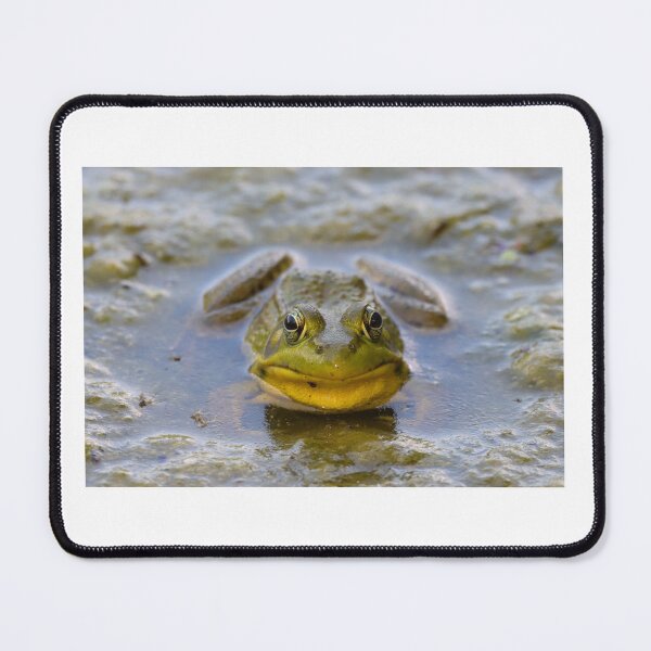 Item preview, A Froggy Day designed and sold by LoriLWegner.