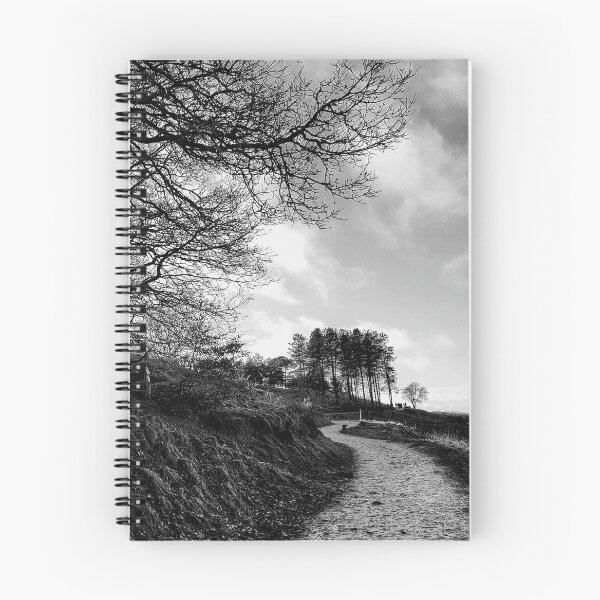 Item preview, The winding path designed and sold by John Finn.