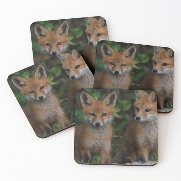 Item preview, Fox Kits designed and sold by LoriLWegner.
