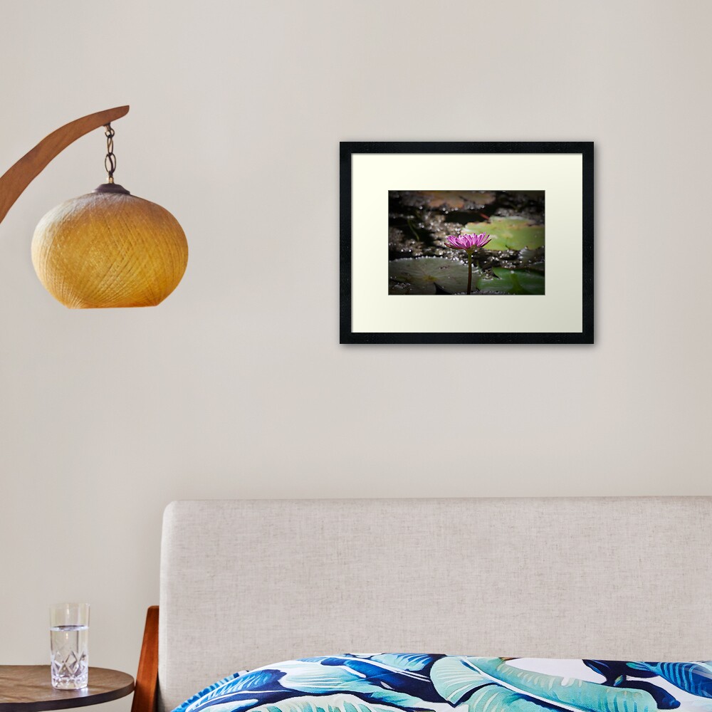 Water Lilly Framed Art Print