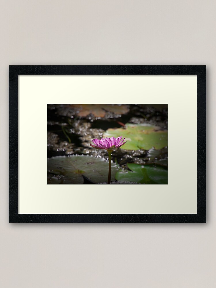 Alternate view of Water Lilly Framed Art Print