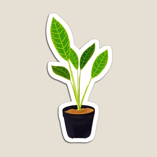 Item preview, Indoor Housse Plant Collection designed and sold by yangdembe.