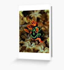 Nembrotha Nudibranch Greeting Card