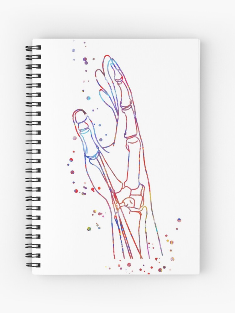 Cuaderno de espiral «Mano, anatomía de la mano, anatomía, mano de la  acuarela, arte de la mano, huesos de la mano» de Rosaliartbook | Redbubble