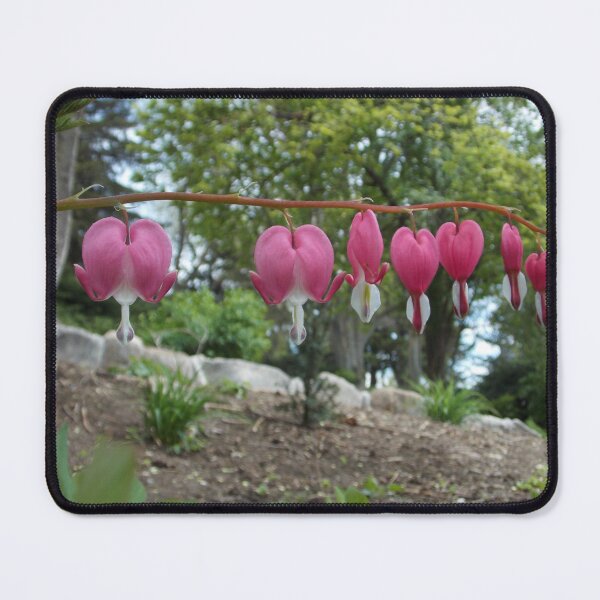 Item preview, Bleeding Hearts designed and sold by OnigiriSuiko.