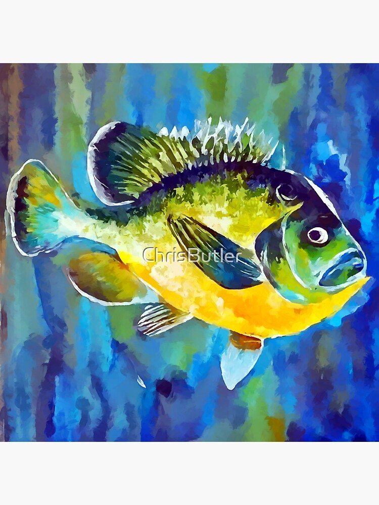 Black Fly Bluegill Fishing Panfish Jig Fly Fishing Sticker for Sale by  Christineaz