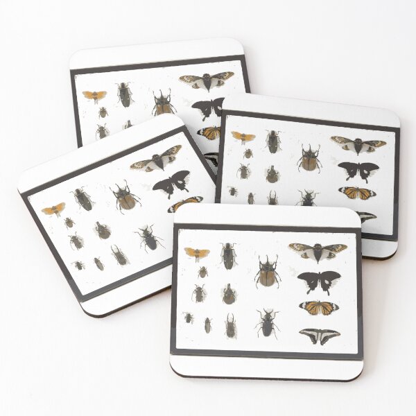 Item preview, Insect Pin Board designed and sold by Corner-Distro.